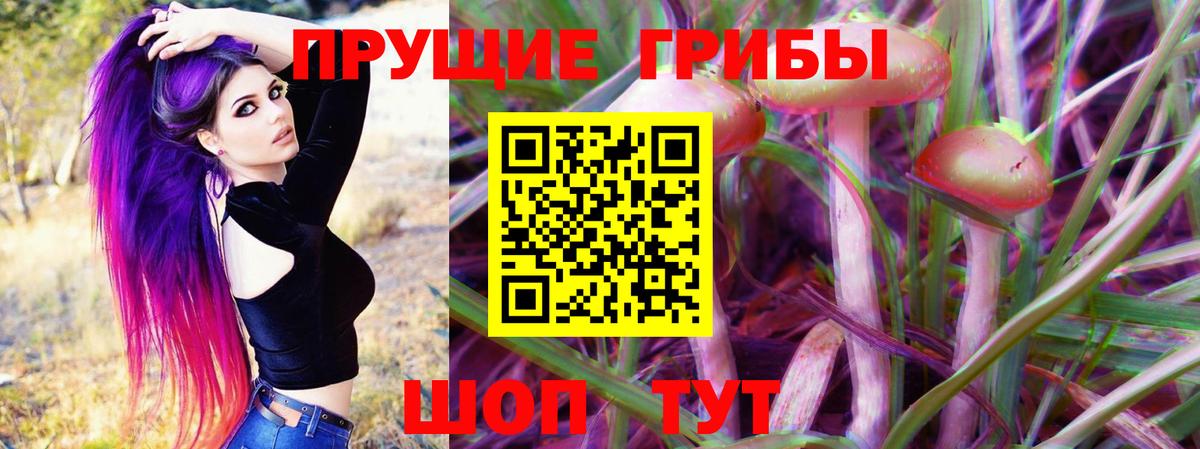 Псилоцибиновые грибы ЛСД  Галлюциногенные грибы прущие грибы  Вход с VPN  Нарткала 