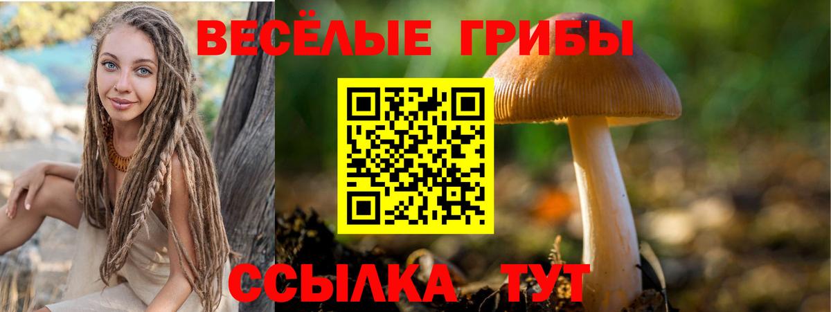 Галлюциногенные грибы мицелий Нарткала